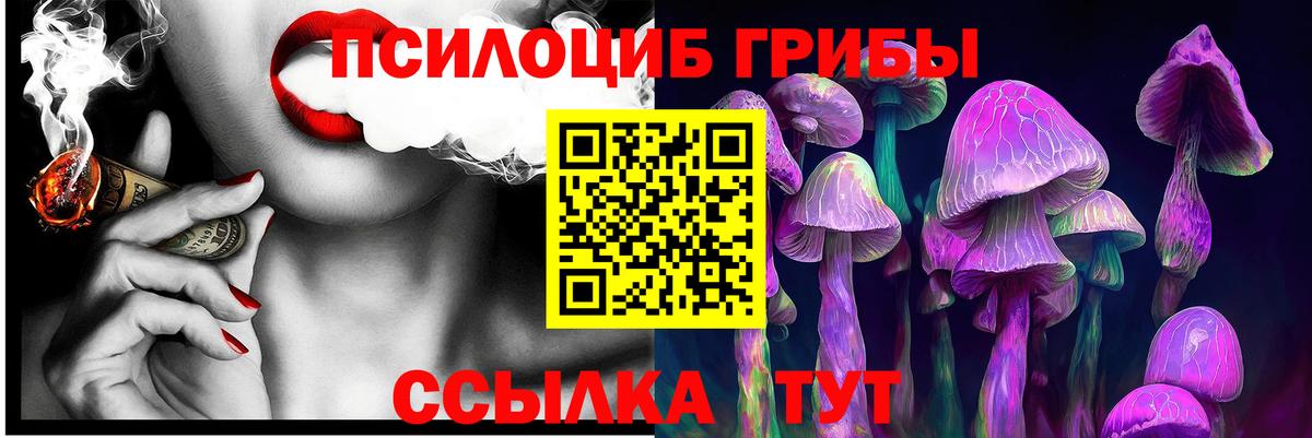 Галлюциногенные грибы прущие грибы Шумерля